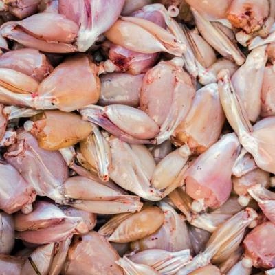 China Wholesale Frozen Seafood Frog Skinless Hidee Meat Frog Thighs for sale