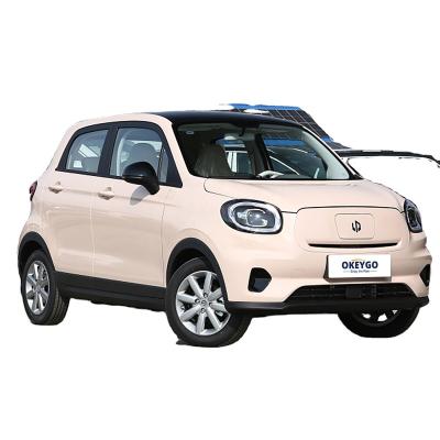 China Leather smart latest Chinese factory direct supply multi-colors optional 0km used electric mini car for sale