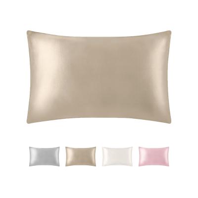 China 19mm Amazon Silk Home Case Pillow Hot Selling Cooling Solid Color Soft And Smooth Silk For Hair And Skin for sale