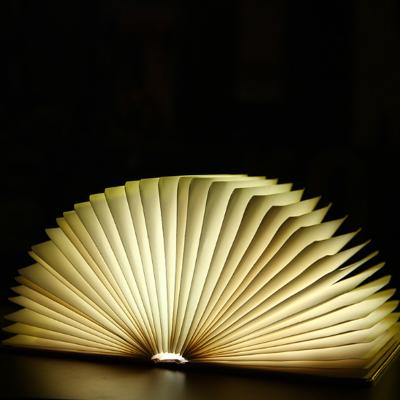 China 2021 38+pu custom folding book most popular creative creative gift paper lamp 38 pages charging led light reading lamp, USB filling lamp for sale