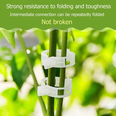 China High Strength Plant Support Clips for Vegetable Garden Tomato Vines Stile and Clips Vines, Beans, Vegetables, Fruits, Plants Twine Rose. for sale