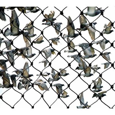 China High Quality Bird Knotted Plant Protection Mesh Bird Netting With UV Protection for sale