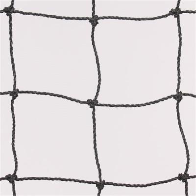 China Plant Protection Against Bird Mesh Bird Control High Quality Nylon Knotted Netting for sale