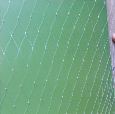 China Plant Protection Against Bird Green HDPE Quality Anti Bird Mesh Netting For Fruit for sale