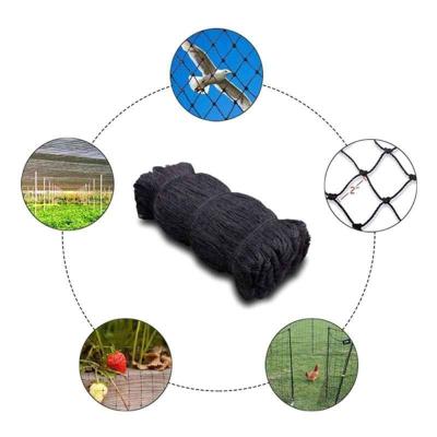 China Plant Protection From Bird Netting Garden Netting Protect Fruit Vegetables From Birds for sale