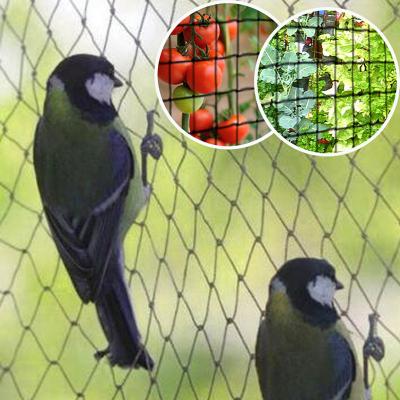 China Plant Protection Against Bird HDPE Knitting Net Anti Bird Protection Bird Net Bird Catching Net for sale