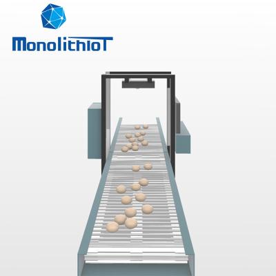 China Heat Resistant MonolithIoT Farms Fully Automatic Conveyor Belt Sorting Collection System Machine Counter For Eggs for sale