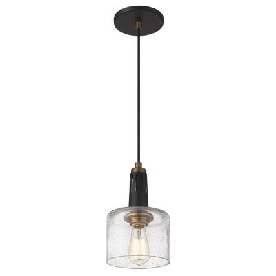 China Chain Suspended Modern Adjustable Black Frosted Decorative Glass Shade Lamp Ceiling Lamp Pendant Light for sale