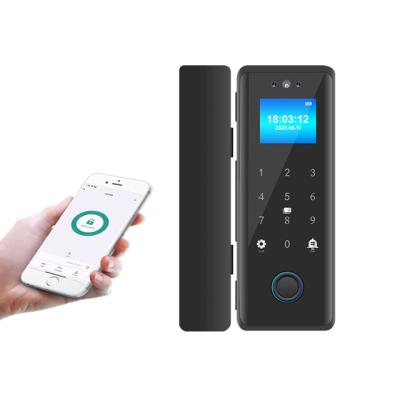 China Metal Housing 1.77 Inch TFT Facial Fingerprint Password Card Bluetooth Mobile App Hook Bolt Smart Glass Door Lock 100 for sale