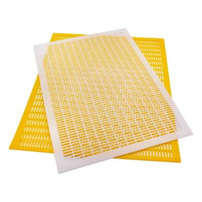 China Bee Farm Hot Sale Plastic Queen Excluder For Beekeeping Tools for sale