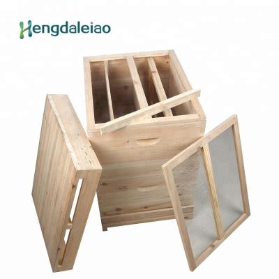 China Eco-friendly 10 frame standard langstroth hive box for beekeeping for sale