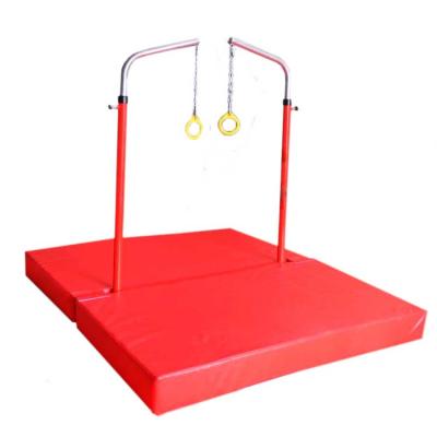 China Eco - Friendly New Design Exercises Gymnastics Equipment Gymnastic Rings For Kids for sale