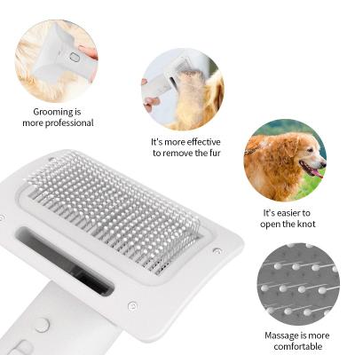 China Viable Morden Style Remover Dog Cat E 2021 Brush Pet Hair Dryer Comb 2020 Hot Selling for sale