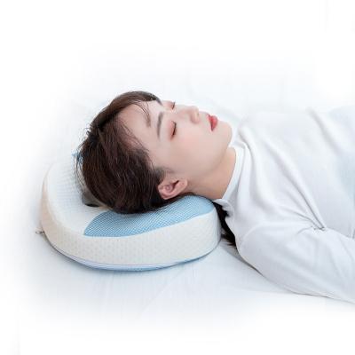 China Anti-static the most popular and best-selling memory foam sleep pillow for sale