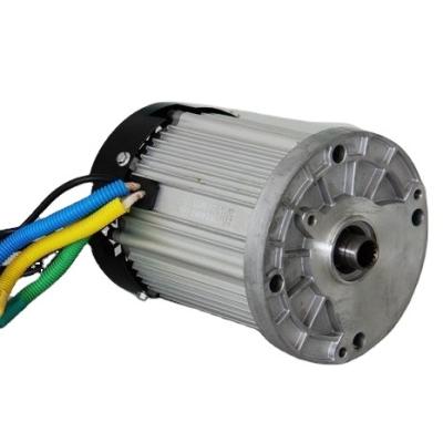 China 48V 3000W BLDC motor waterproof sine wave for electric cargo tricycle brushless DC motor for electric vehicle for sale