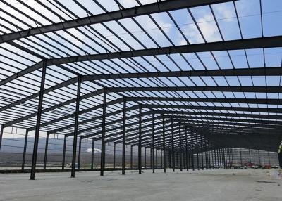 China Fashion Design Light Steel Building Systems Professional Large Steel Buildings for sale