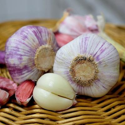 China 2021 Fresh New Culture 6p Fresh Garlic/Alho/Garlic/LAO Chinese Pure White Garlic Price for sale