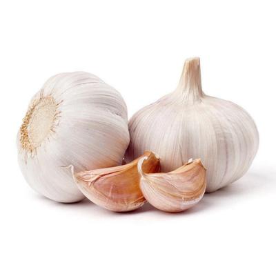 China High Quality Fresh Galic Fresh White Purple Garlic Normal Red Garlic From China for sale