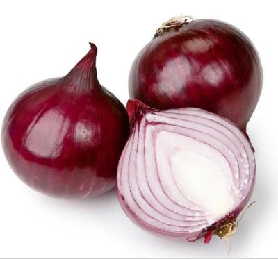 China Fresh Fresh Purple Onion From Chinese Fresh Onion Supplier for sale