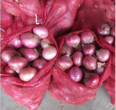 China New Fresh Culture Pickled Fresh Onions From Chinese Onion Supplier for sale