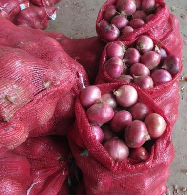 China Fresh Fresh Red Onion Mesh Bags From Chinese Onion Suppliers for sale