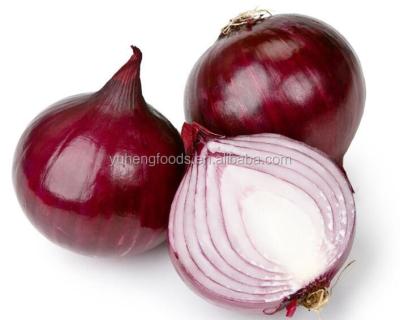 China Fresh per ton price of fresh china yellow red onion for sale