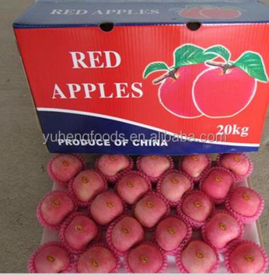 China South Africa Fresh Fresh Apples/Royal Gala Blacksmith Awards/Red Delicious/Granny Bon for sale