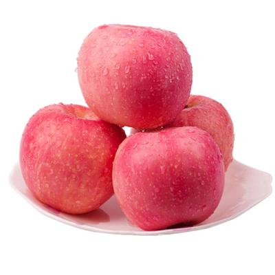 China China Wholesale Price Fresh Fresh Apple Fruit Fuji Apple for sale