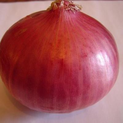 China Lowest Fresh Fresh Red Onion Price From China Onion Exporters for sale