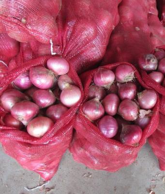 China Fresh Fresh Red Onion From Jining China Onion Exporters for sale