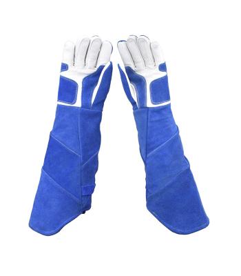 China best quality Anti-cut Anti-bite gloves for coach for sale