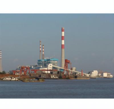 China The hotels thermal power station coal the firepower plant for sale