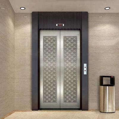 China Modern stainless steel elevator door for sale