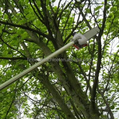 China high quality 2-Stroke long reach pole saw pruner / 1.5m long reach telescopic pole saw for sale