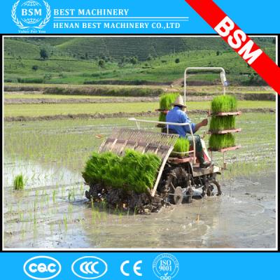 China New type agricultural machinery paddy cultivator /rice walking planter/mini paddy cultivator for tractor for sale