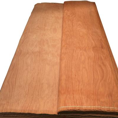 China Good quality rotary natural plb plywood cutting face wood veneer for plywood with ABCD grade for sale