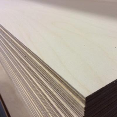 China China Baltic Birch Plywood Modern UV Varnished Russian Birch Plywood for sale