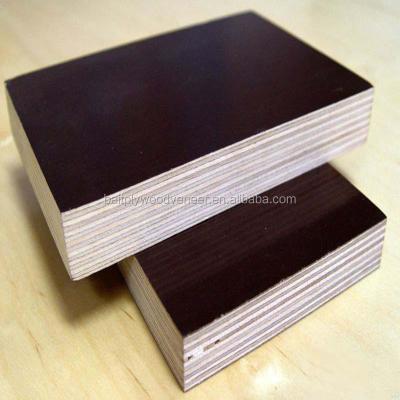 China Hotel Vietnam tdy plastic sheet faced plywood cheap price for sale