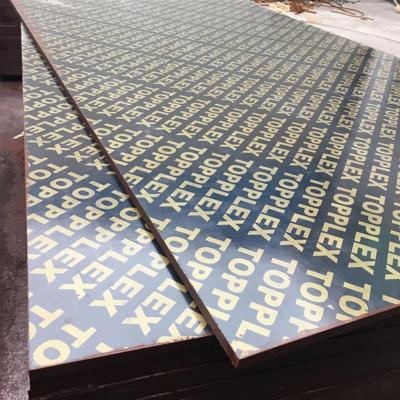 China Modern Wholesale Linyi Commercial Grade 4x8 Birch Plywood Sheet Price Top Panels 18mm For Furniture for sale