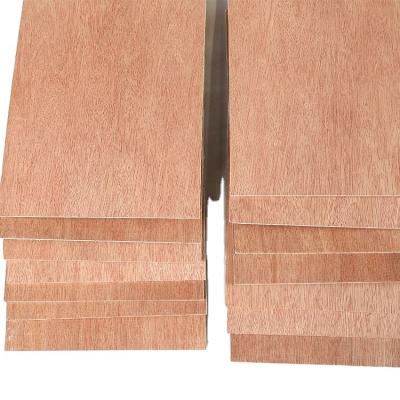 China High Quality Okoume Modern Commercial Plywood Bintangor Plywood for sale