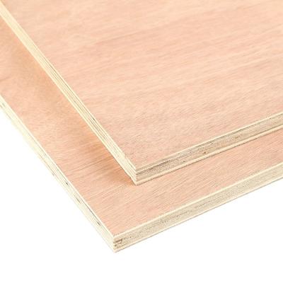 China Modern PRIMARY Okoume Faced Furniture Plywood Okoume Veneered Commercial Plywood for sale