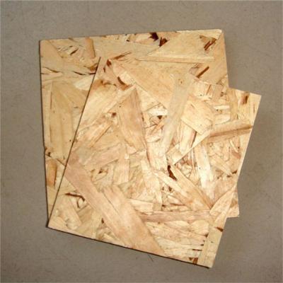 China Contemporary cheap osb board for sale