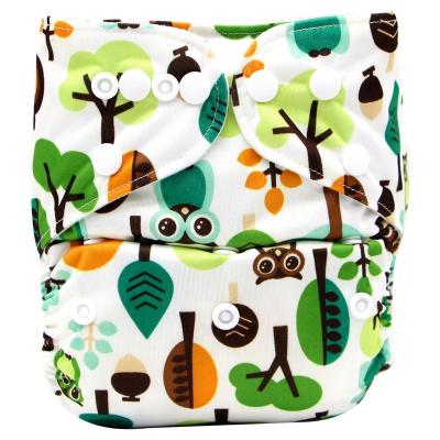 China Printed 2020 Adjustable Portable Newborn Newborn Cloth Baby Diaper Diaper Bamboo Diapers for sale