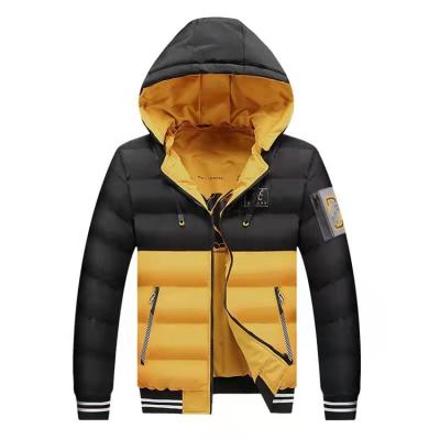 China WSL 002103 Anti-wrinkle men's fall and winter thickened removable collar insert color double-sided zipper Cotton-padded windproof jacket for sale