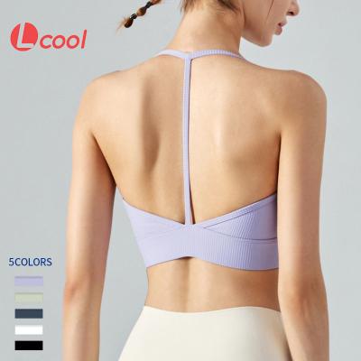 China Lcool Breathable T-back Gym Workout Beauty Bra Top Padded Yoga Vest Halter Sports Bra for sale