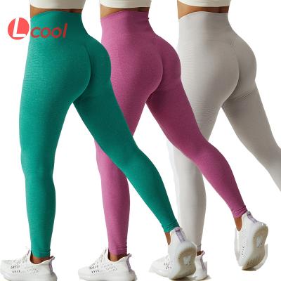 China Lcool Breathable Custom Women Leggings Compression Seamless Leggings Nylon Spandex Yoga Leggings XL for sale