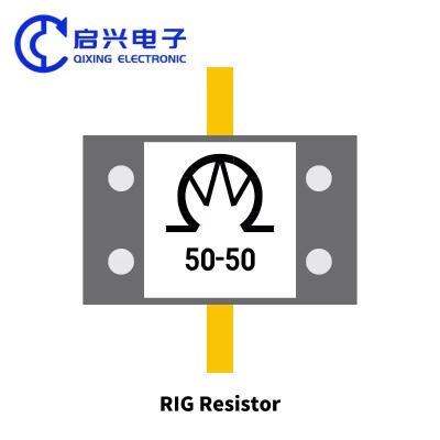 중국 긴 전력 저항 800W 600W 500W 400W 250W 100W 100Ohm RF 저항 판매용