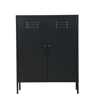 China Knock down home furniture steel storage with rack for living room 2 swing door black color metal cabinet for sale