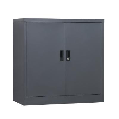 China Cheap Metal Furniture 2 Swing Door Closet Knocked-Down Steel Office Storage Filing Cabinet for sale