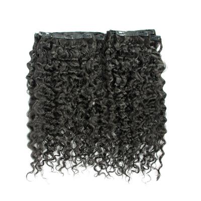 China Water Wave Burmese Curly Natural Hair Cuticle Aligned Raw Hair Clip In Extensions for sale